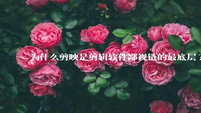 为什么剪映是剪辑软件鄙视链的最底层?