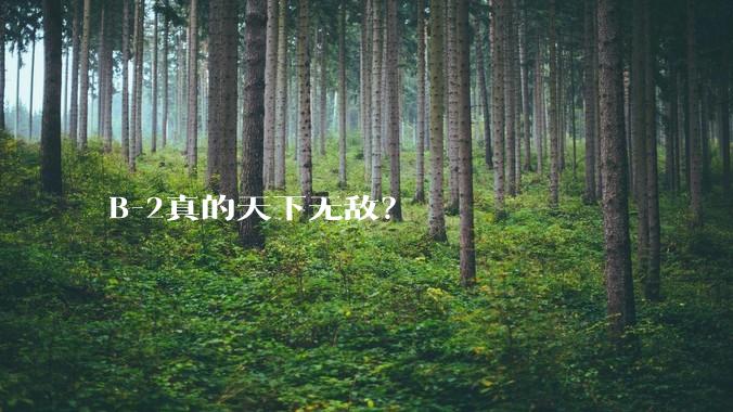 B-2真的天下无敌？