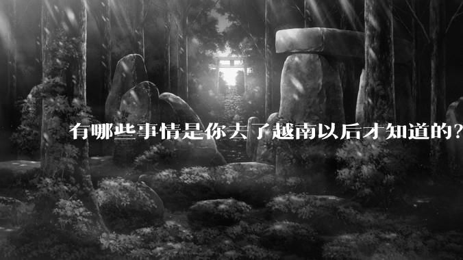 有哪些事情是你去了越南以后才知道的？
