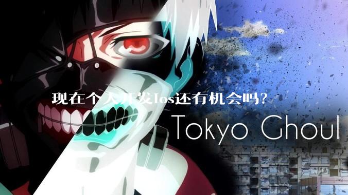 现在个人开发ios还有机会吗？